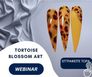 Tortoise Blossom Art